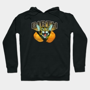 funny cat Hoodie